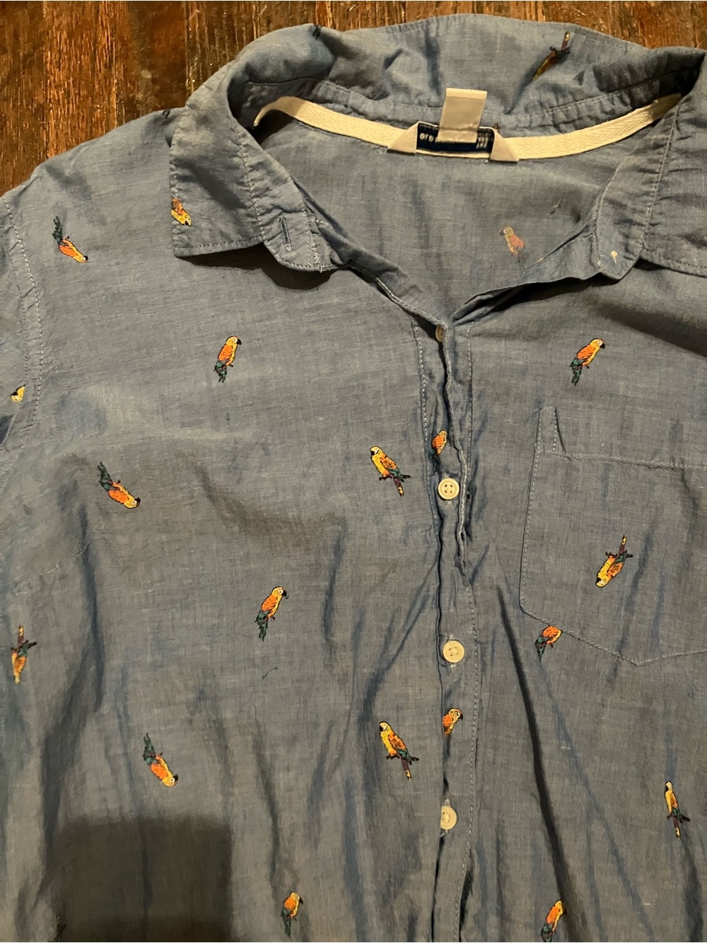Light Blue Embroidered Parrot Button-Up Shirt